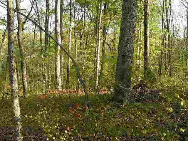 300 Valley Dale Road