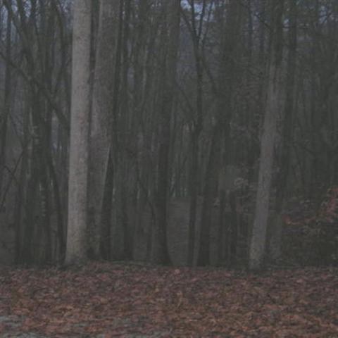 410 Overlook View Lane