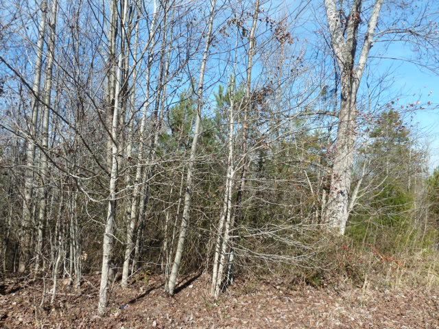 631 Providence Point Drive