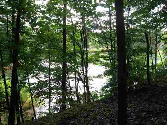 Lot 5 Palmetto Pointe Drive