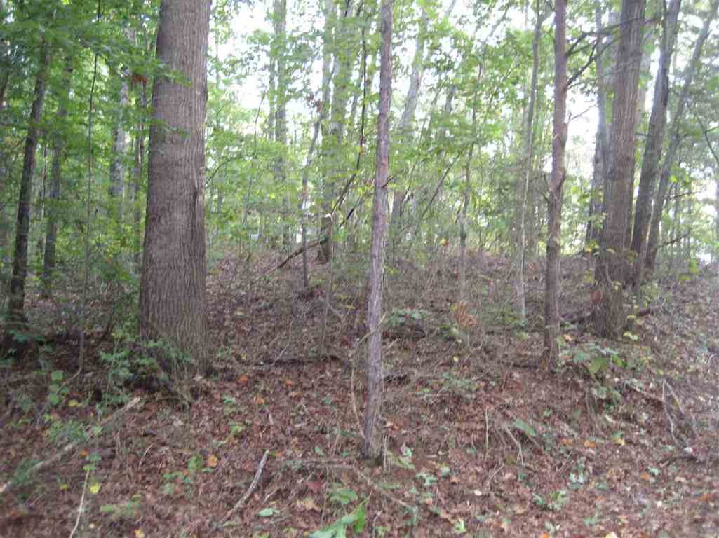 Lots30,31,32,35 Indian Trail