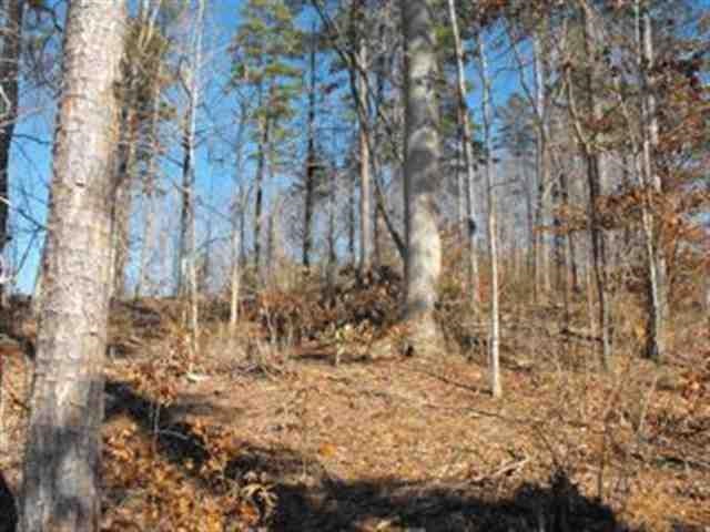 Lot 29 Wilderness Cove