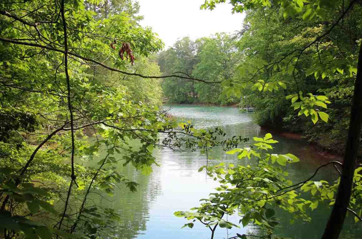 Lot 5 Cottages At Riverbirch