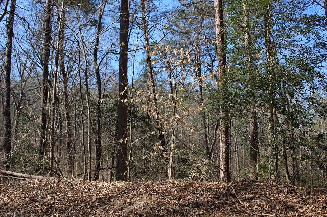 Lots 4 & 5 Pin Du Lac