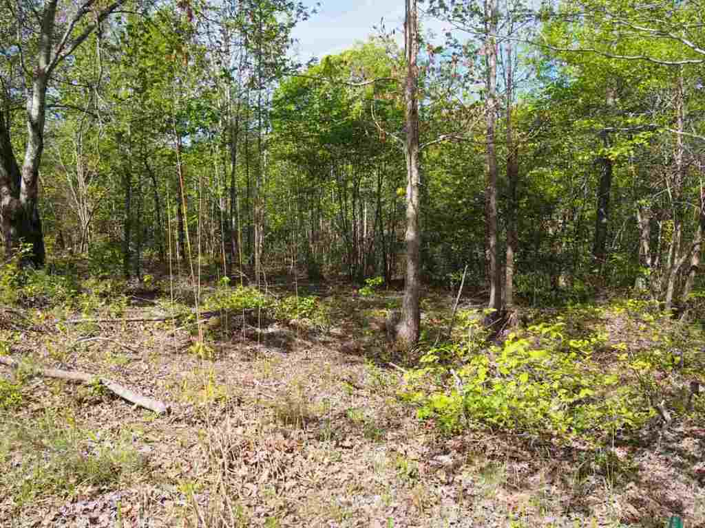 Lot 13 E Lakeshore