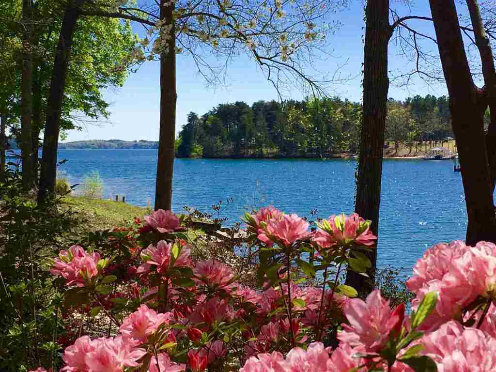 814 Morning Mist Way