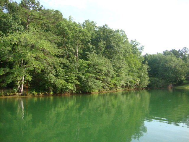 2.7 Acres Hunnicutt Cove Road