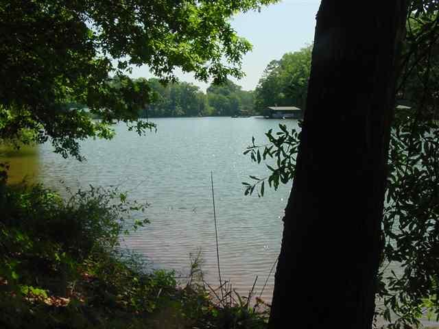 804 Long Point Drive