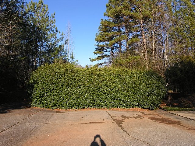 Property image 1 at 406 Downs Boulevard, Clemson, SC 29631