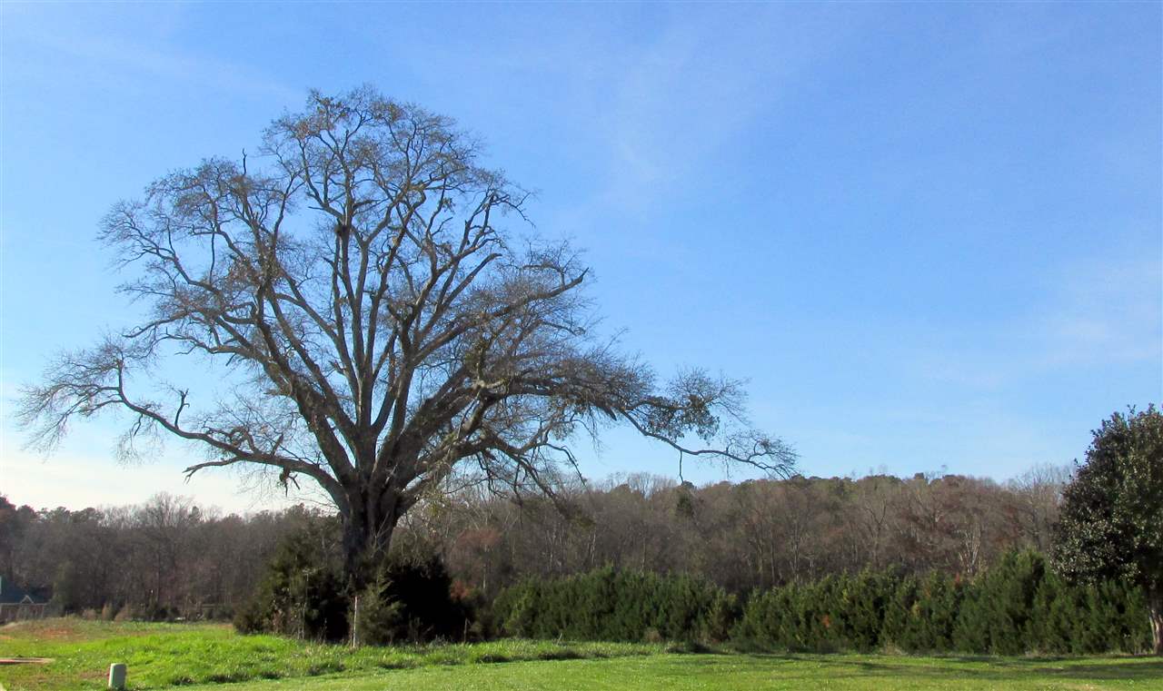 108 Upper View Terrace