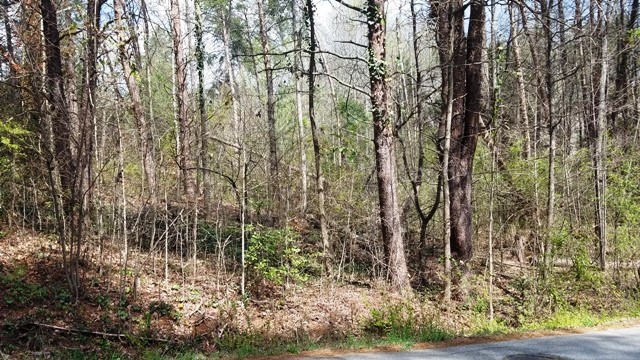 Property image 1 at Lot 141 Delphi Drive, Seneca, SC 29672