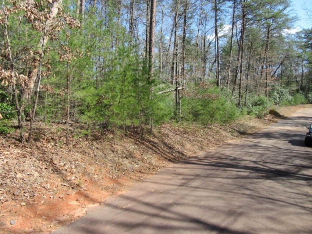 Property image 1 at 107 woodmere Court, Pickens, SC 29671