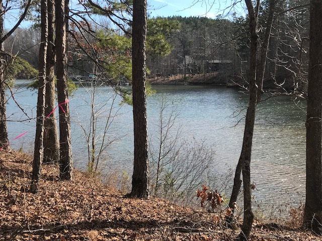 Property image 1 at Lot 10 Estates at Riverstone, Salem, SC 29676