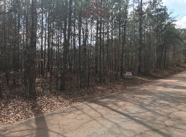 1195 Wilderness Trail