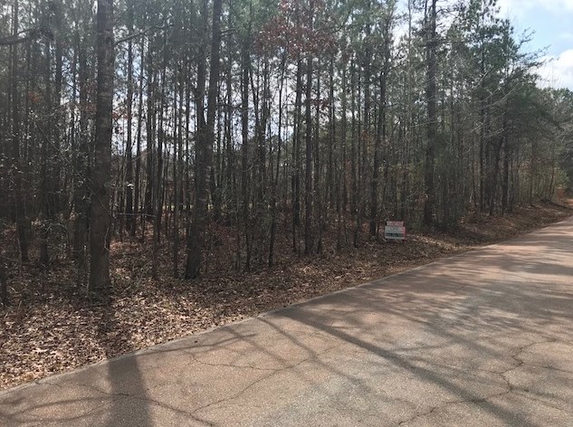 Lot 12 Wilderness Trail