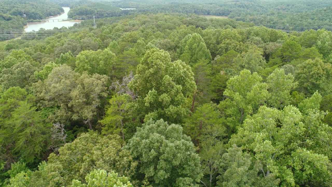 Property image 1 at 00 Fond Du Lac, Central, SC 29630