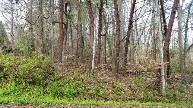 Property image 1 at Lot 139 Delphi Drive, Seneca, SC 29672