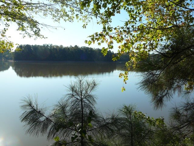 102 Willowbend Drive