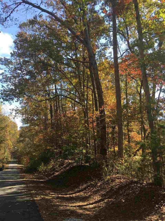 Property image 1 at 209 Fond du Lac Drive, Central, SC 29630