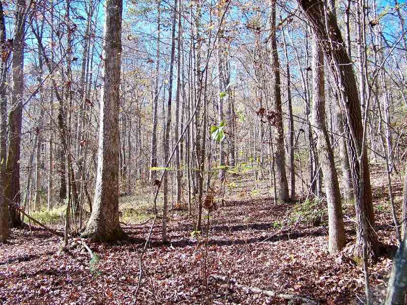 Property image 1 at 160 Julie Way, Pickens, SC 29671