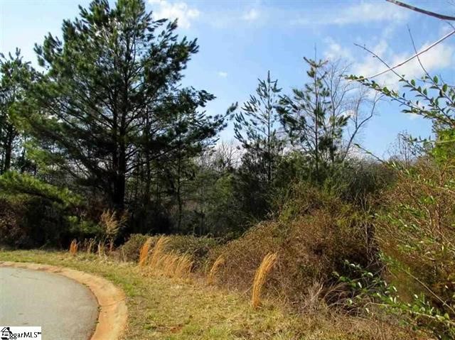 Property image 1 at 121 Hunt Cliff Court, Easley, SC 29642