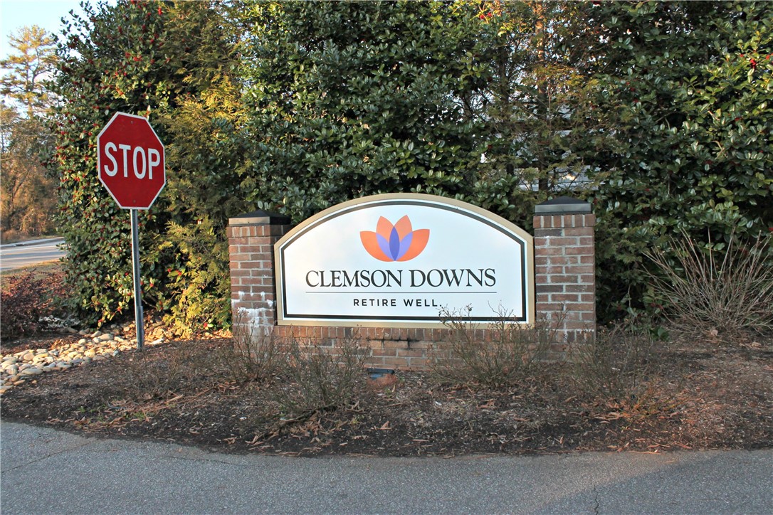 Property image 1 at 304 Downs Boulevard, Clemson, SC 29631