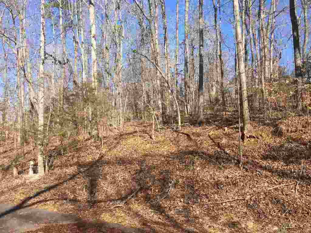 Property image 1 at Lot Pin du lac Drive, Central, SC 29630