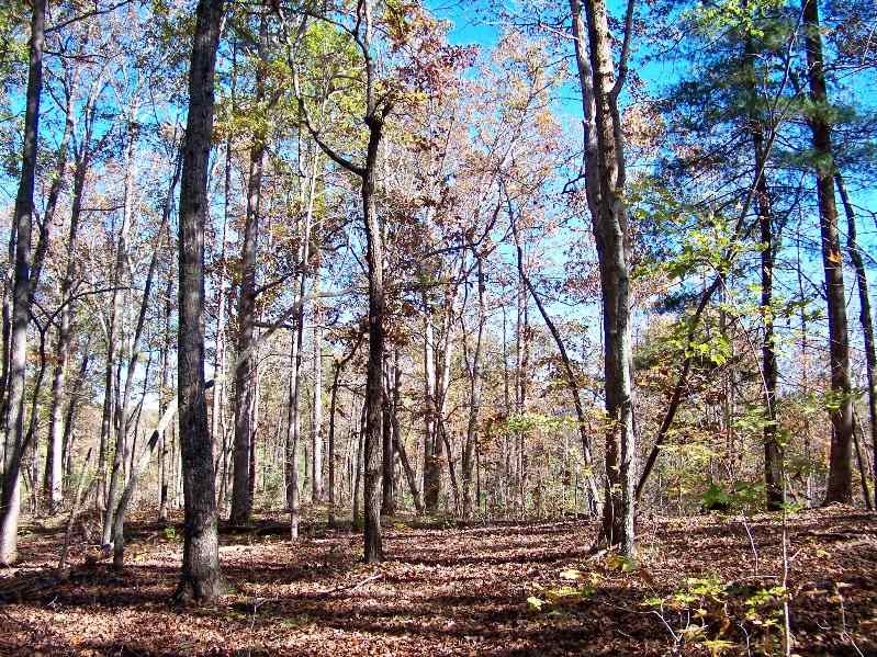 Property image 1 at 211 Serenity Drive, Pickens, SC 29671