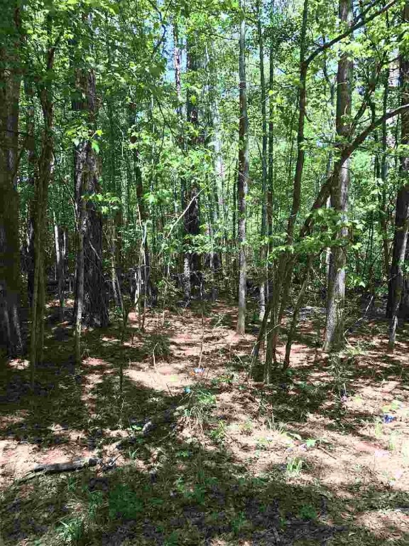 Property image 1 at Lot 21 A Brookvale Drive, Williamston, SC 29697