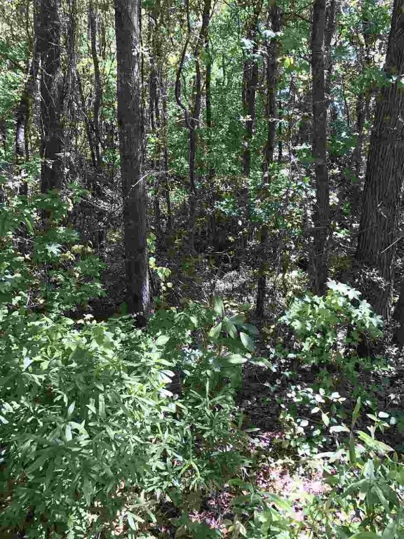 Property image 1 at Lot 29 Pt 28 Brookvale Drive, Williamston, SC 29697