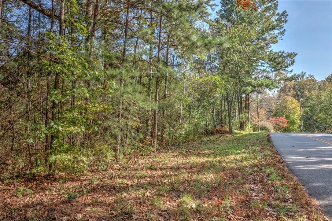 Lot 1 Crystal Falls Road