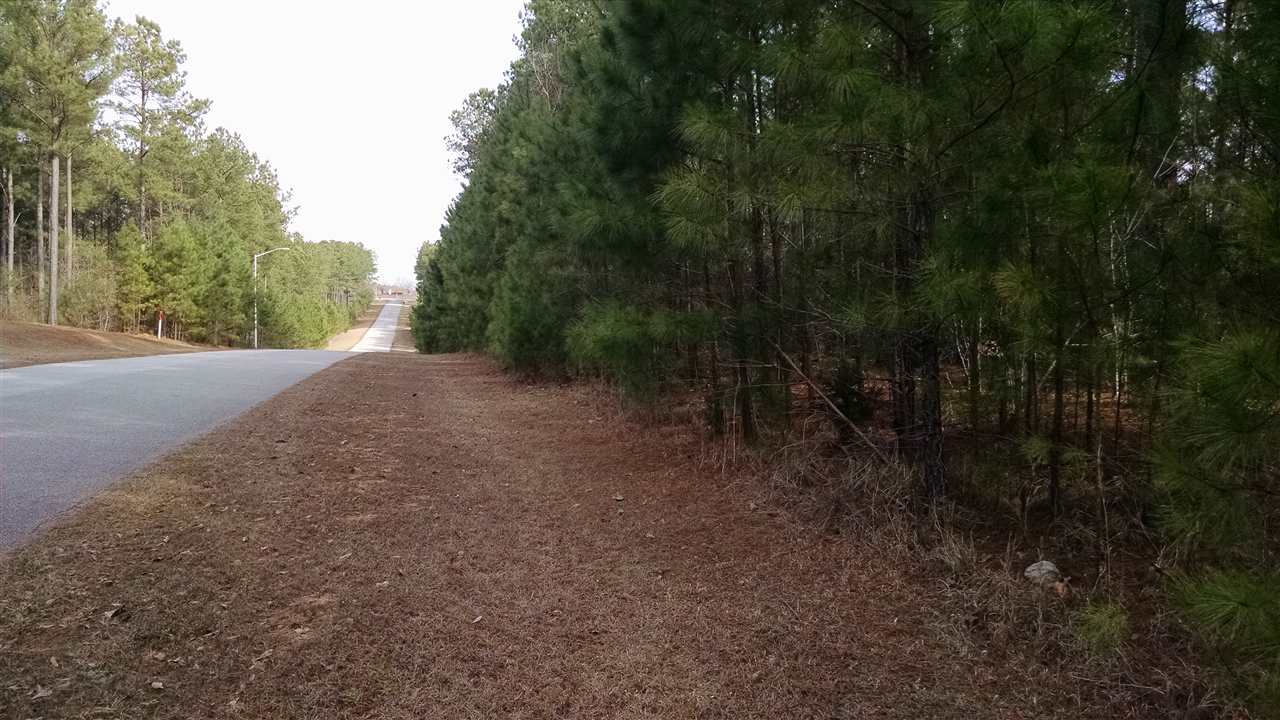 Property image 1 at 11 Bridge Pointe Drive, Iva, SC 29655