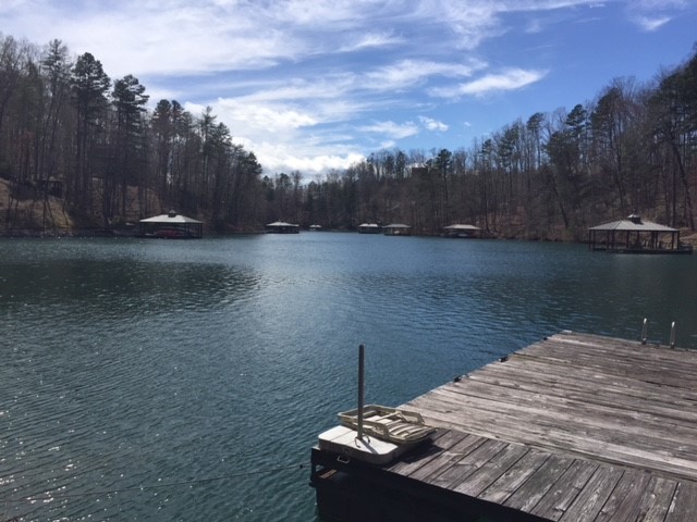 Property image 1 at 131 Willow Walk, Sunset, SC 29685