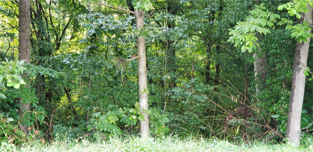 Property image 1 at 220 Joes Court, Easley, SC 29642