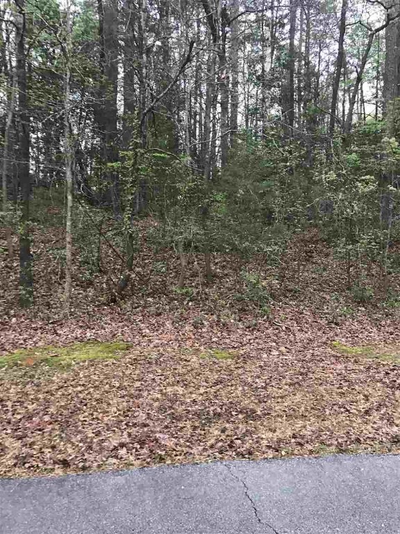 Property image 1 at Lot 32/34 Saluda Road, Williamston, SC 29697