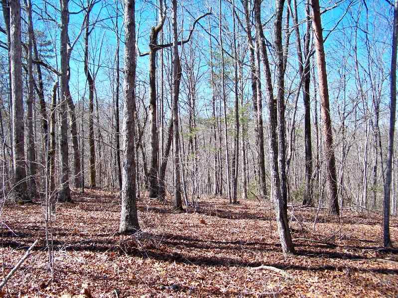 Property image 1 at 245 Serenity Drive, Pickens, SC 29671