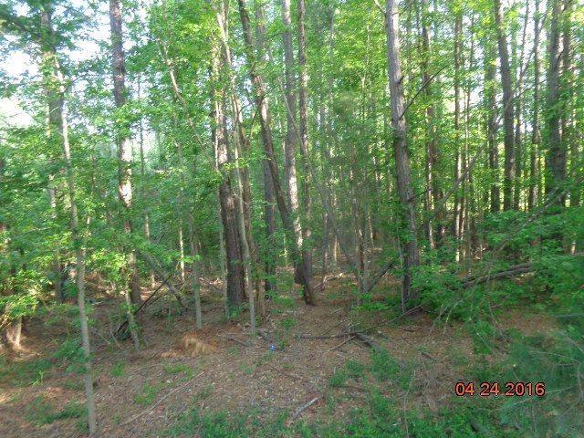 Property image 1 at 178 Newington Circle, Anderson, SC 29625