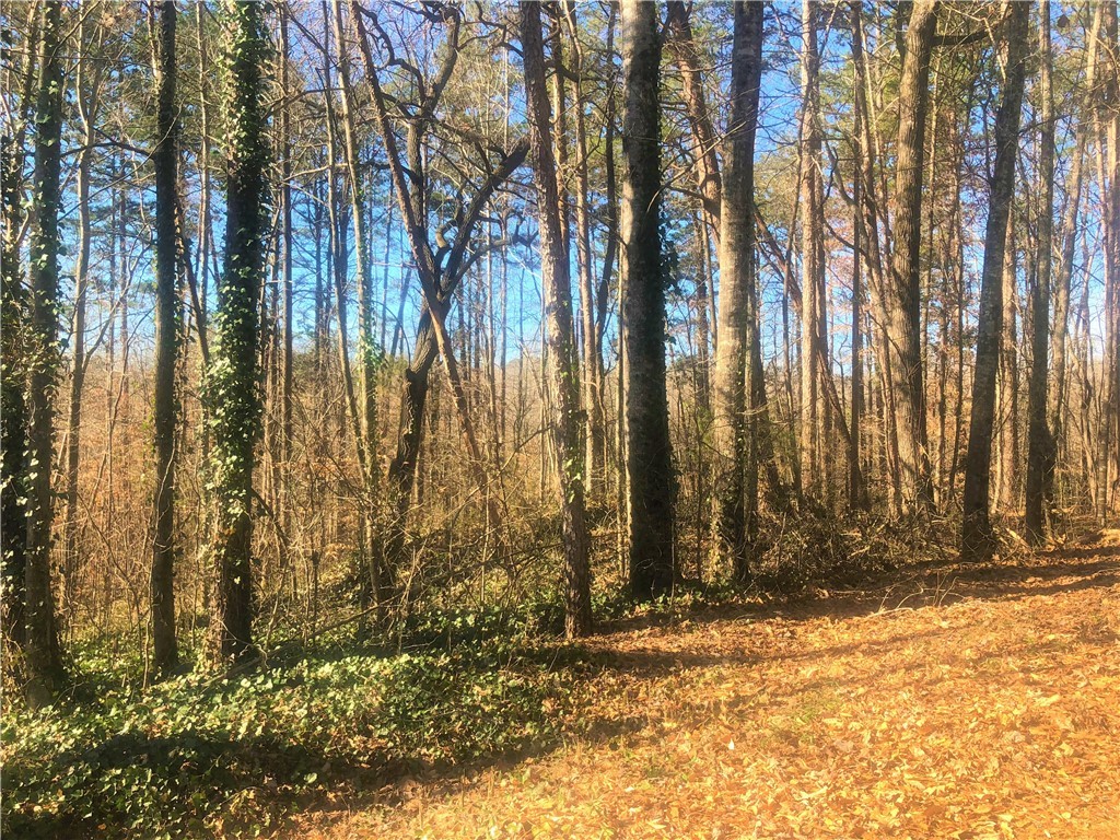 Property image 1 at 00 Forest Acre Circle, Walhalla, SC 29691