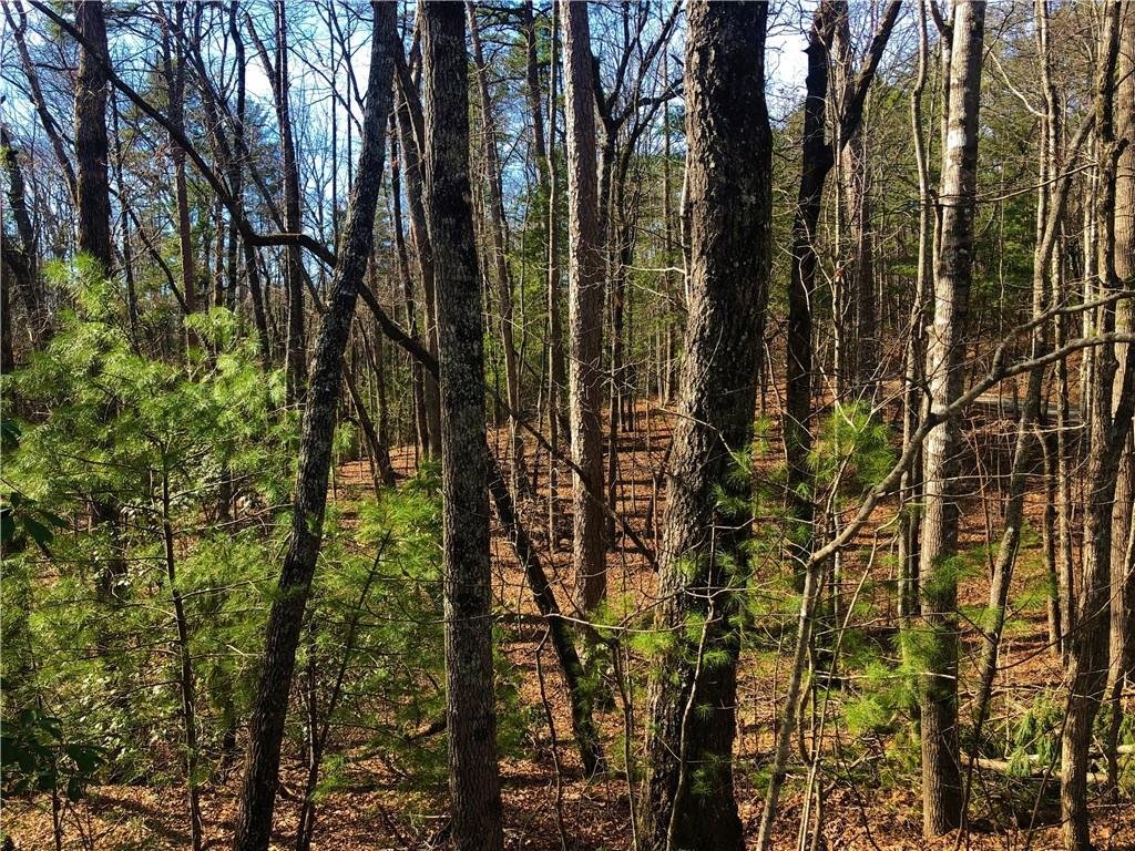 25 Chattooga Lake Road