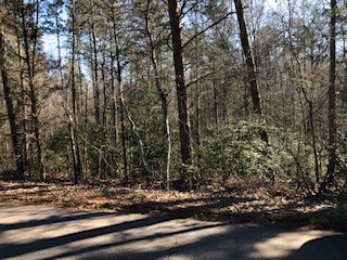 Property image 1 at 121 Mill Pond Road, Powdersville, SC 29642