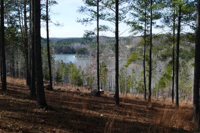 Property image 1 at Lot 54 Highland Ridge Road, Salem, SC 29676