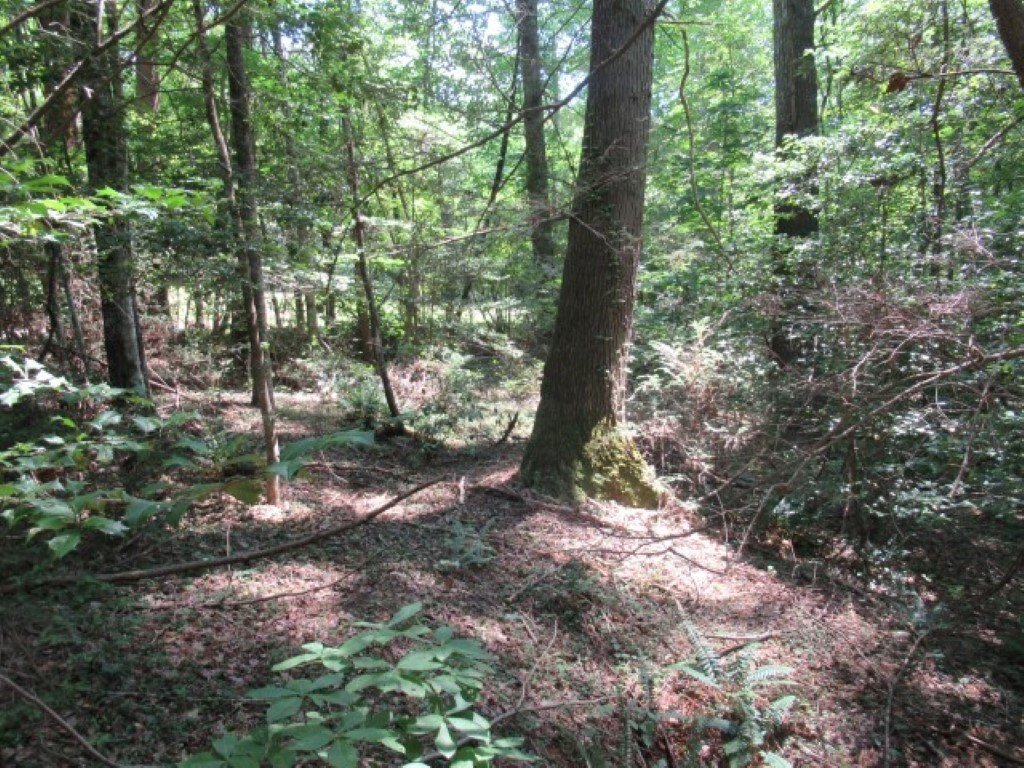 Property image 1 at 130 Hambys Way, Pickens, SC 29671