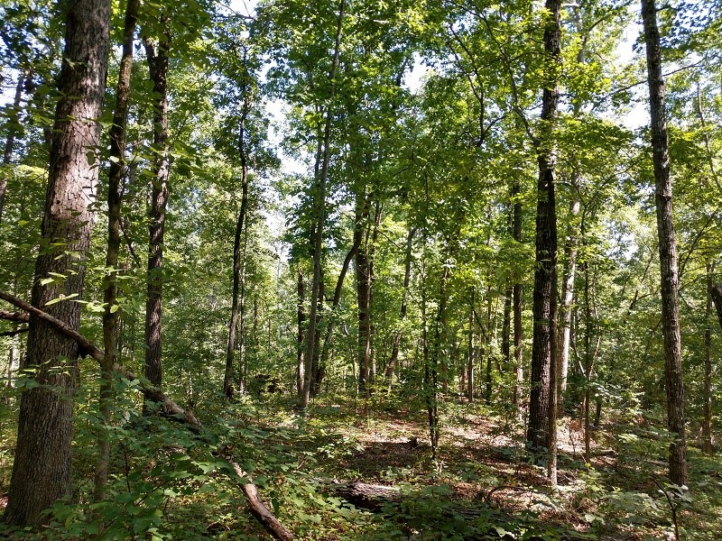 Property image 1 at 608 Scharlin Drive, Pickens, SC 29671