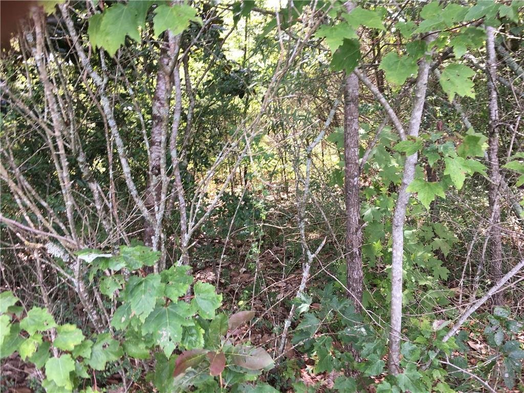 Property image 1 at 421 Lakestone Court, Seneca, SC 29672