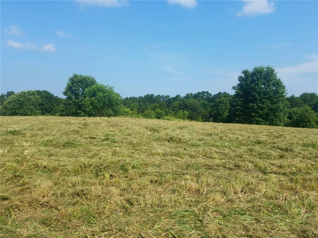 Property image 1 at 2408 Watkins Road, Anderson, SC 29625