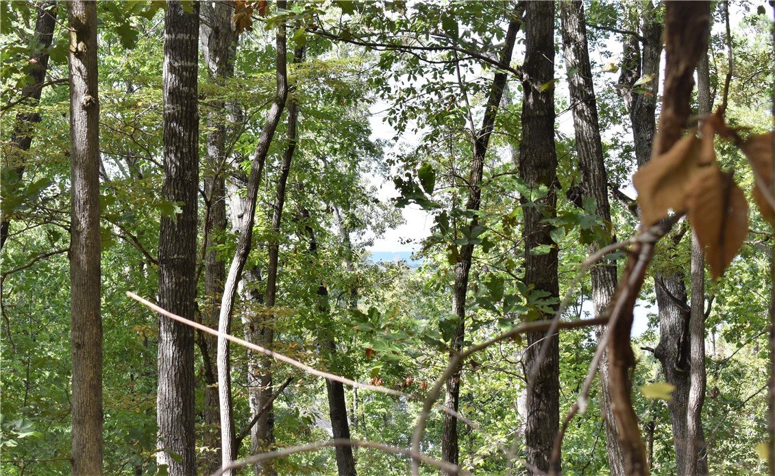 Property image 1 at 90 Lakestream Court, Seneca, SC 29672