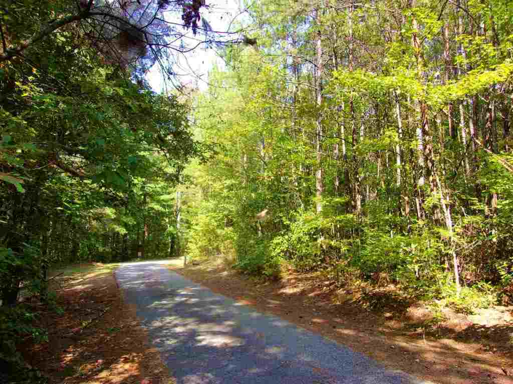 Property image 1 at 00 The Bear Boulevard, Tamassee, SC 29686