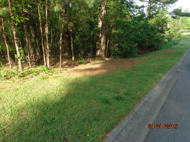 Property image 1 at 113 Newington Circle, Anderson, SC 29625