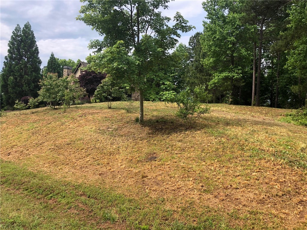 Property image 1 at 416 Spring Cove Way, Six Mile, SC 29682