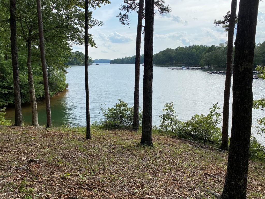 Property image 1 at 0 Sue Craig Road, Six Mile, SC 29682